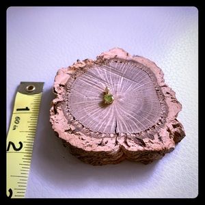 Peridot on gold pendant